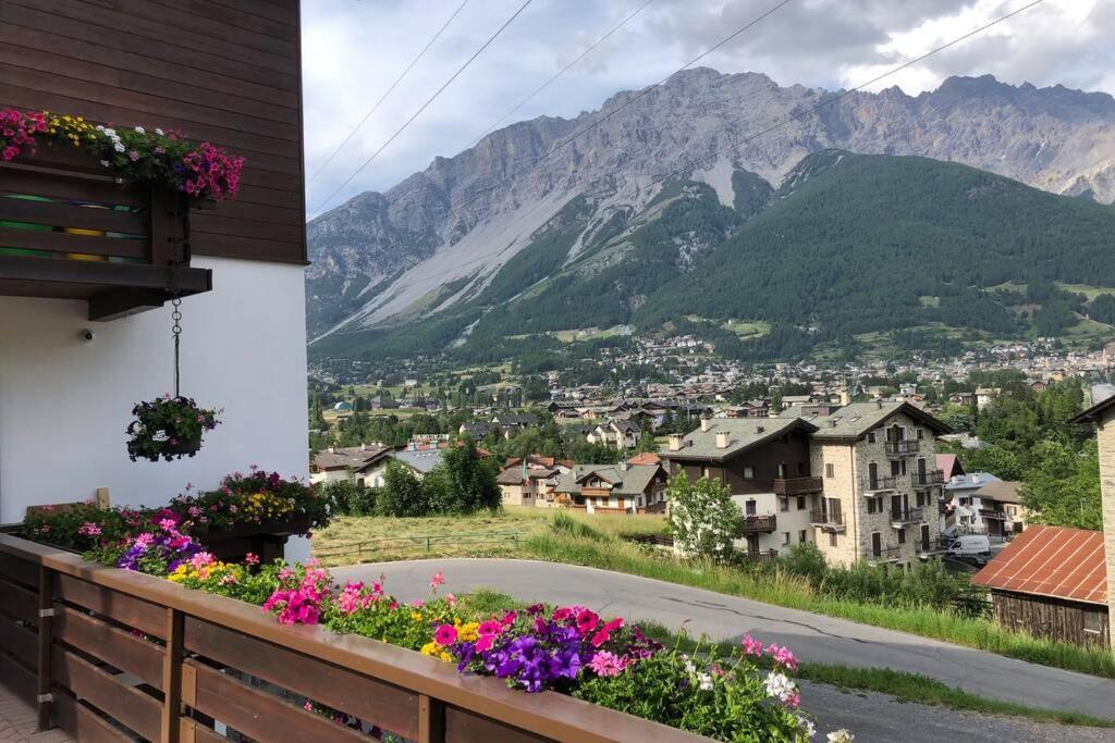 Appartamento A Due Passi Da Bormio 발디소토 외부 사진
